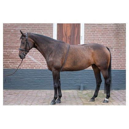 Harry’s Horse Longeerhulp Soft