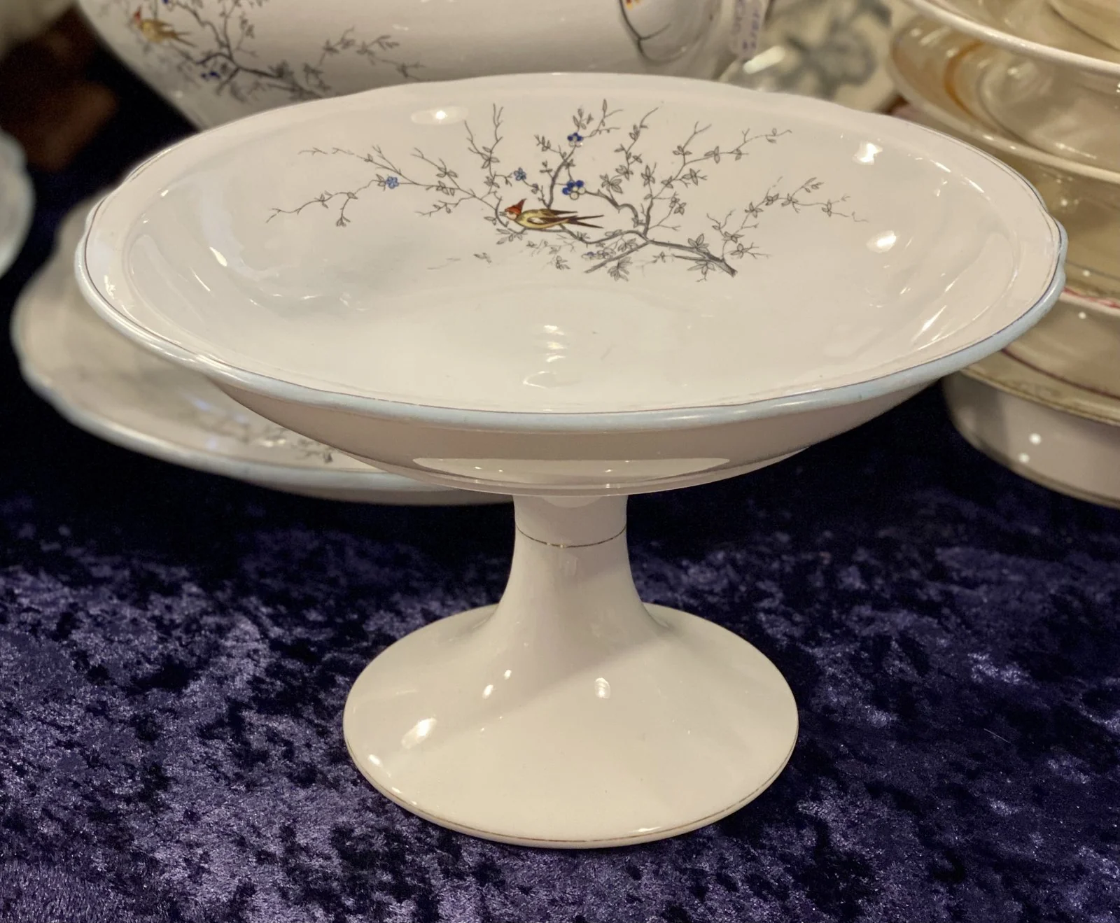 Schaal op hoge voet / tazza – geschulpte rand – Petrus Regout – décor VOGELZANG