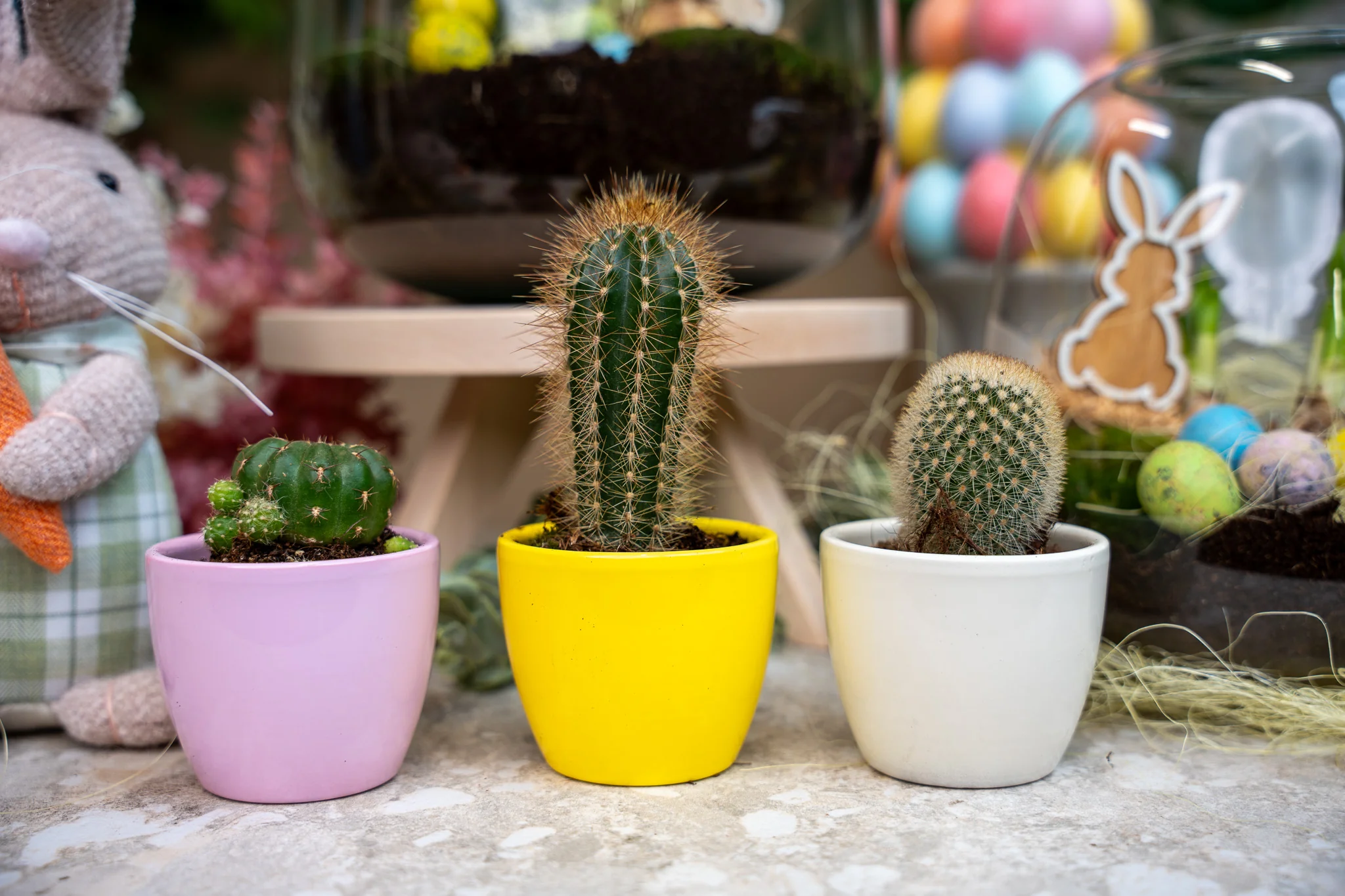 Plantenset van 3 met mini pot – Pastel Spring – Cactus mix – Ø 6 cm