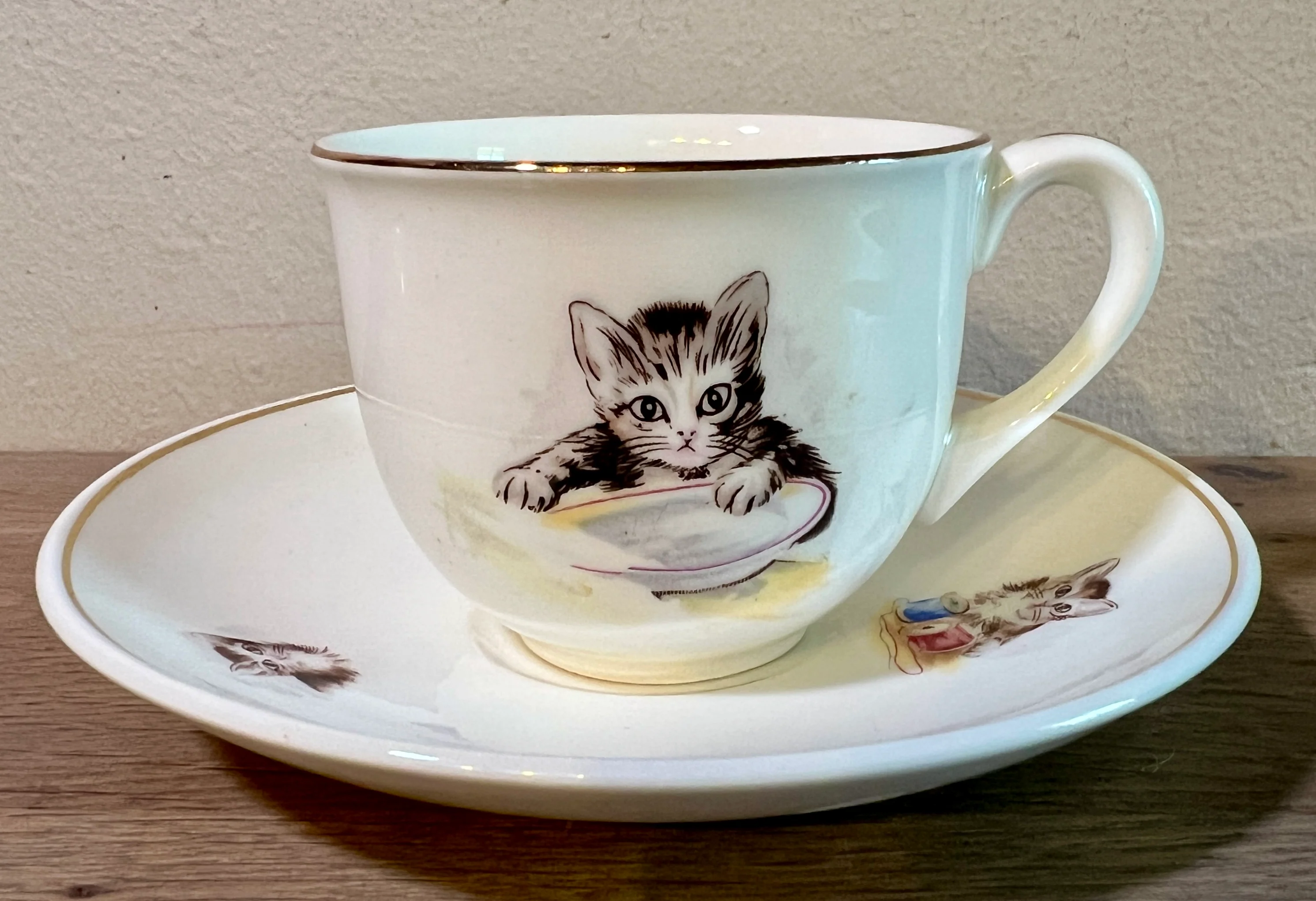 Kop en schotel – van kinderservies – Petrus Regout – decor met poesjes en kittens
