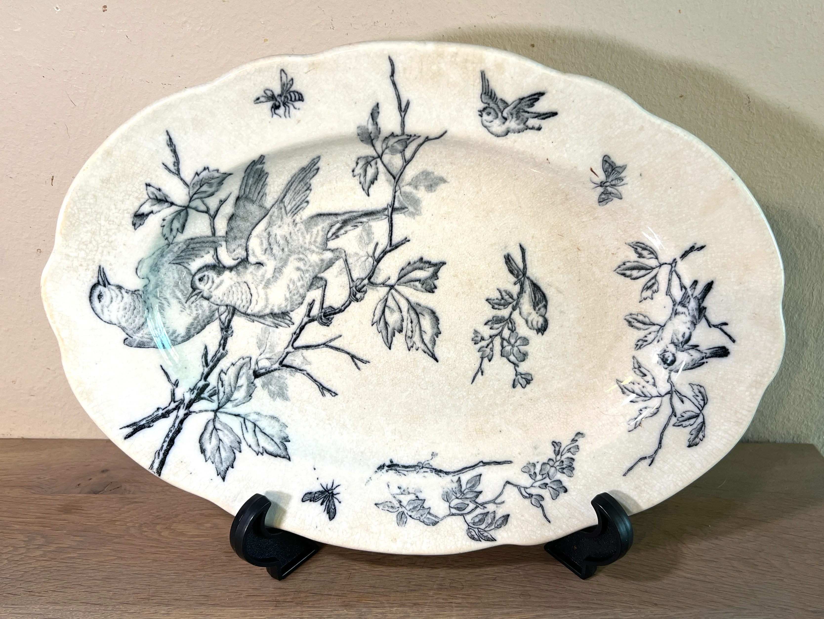 Presenteerschaal / Schaal – kleiner model – ongemerkt – decor met takken, vogels en insecten in petrol-blauw