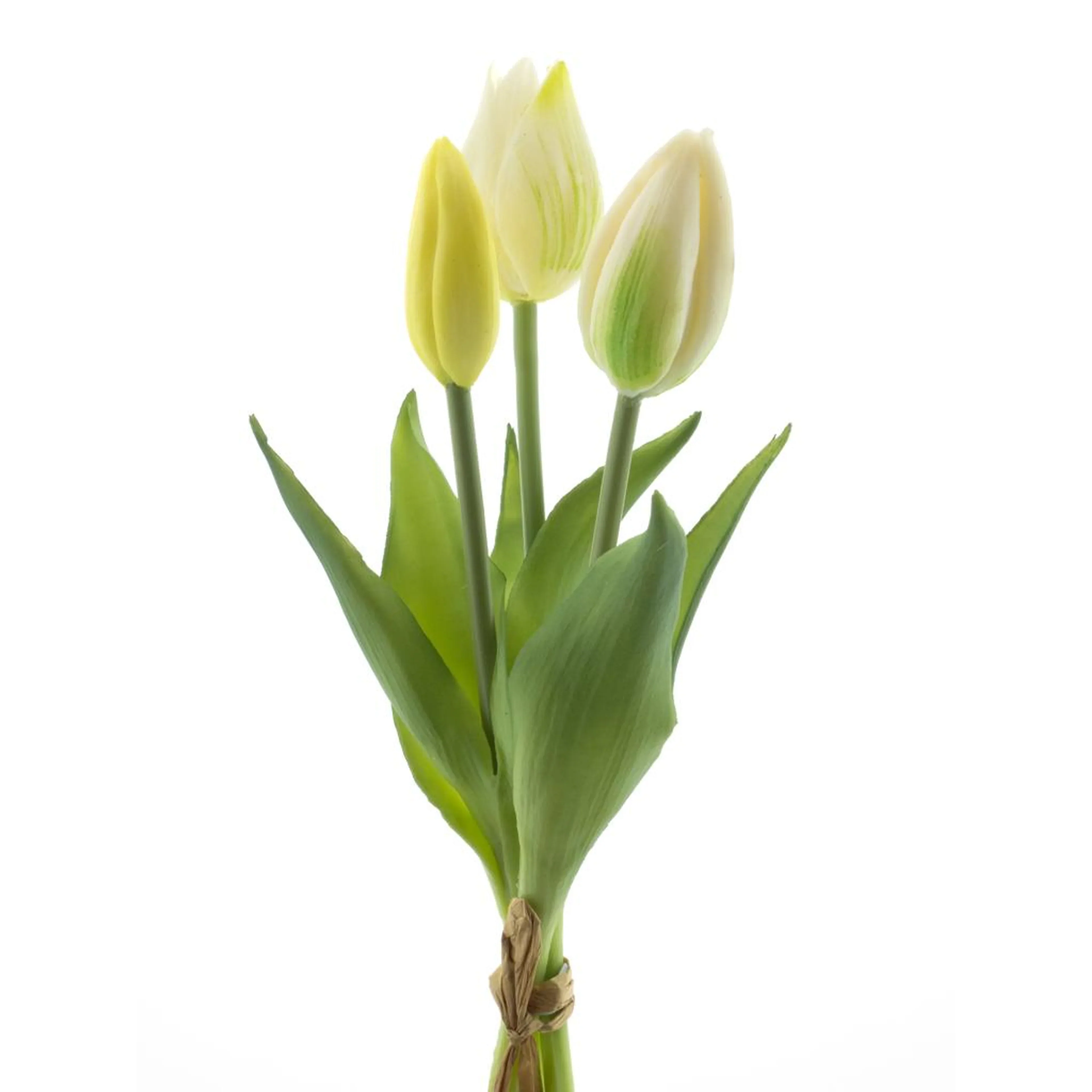 Bosje tulpen 3 – Creme