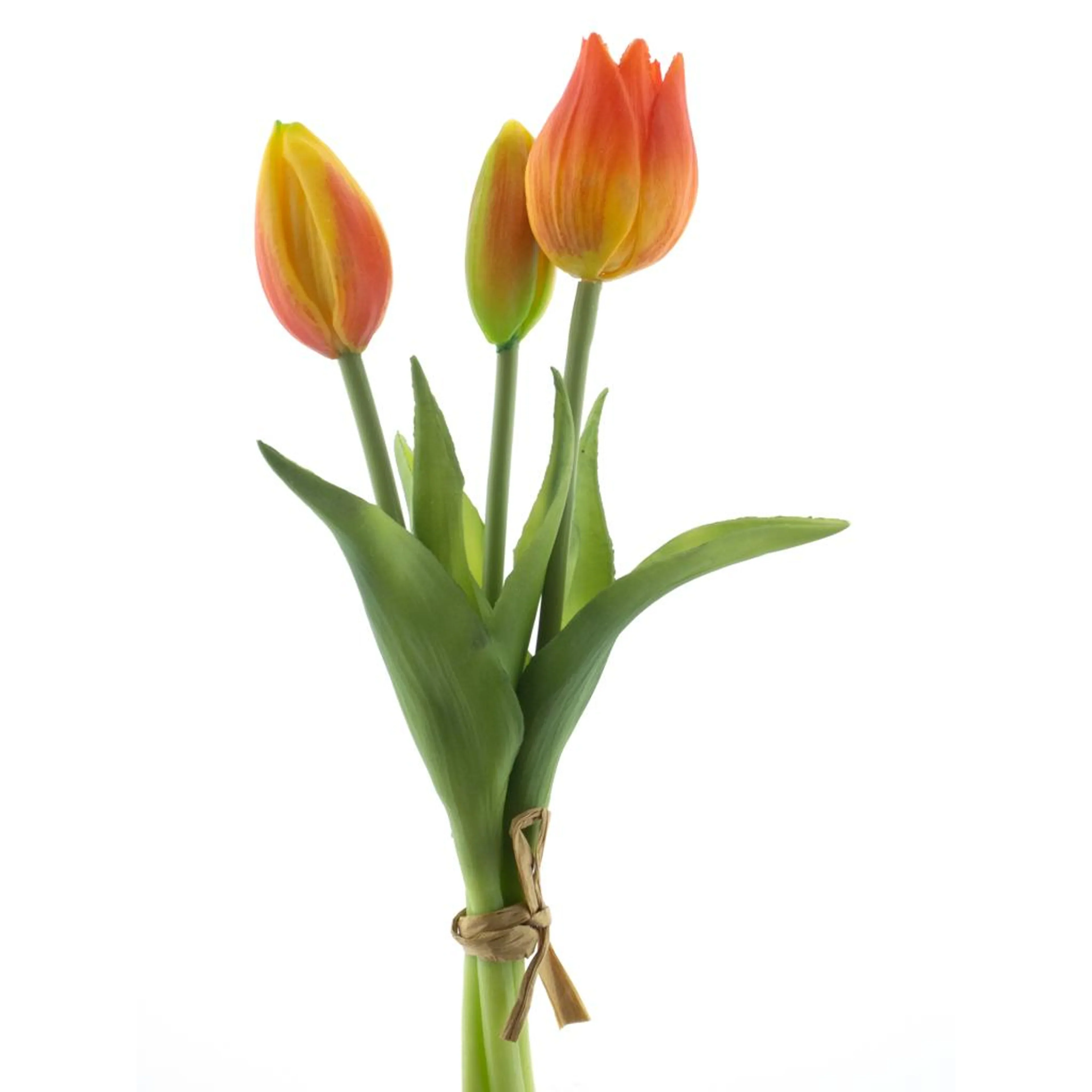 Bosje tulpen 3 – Oranje
