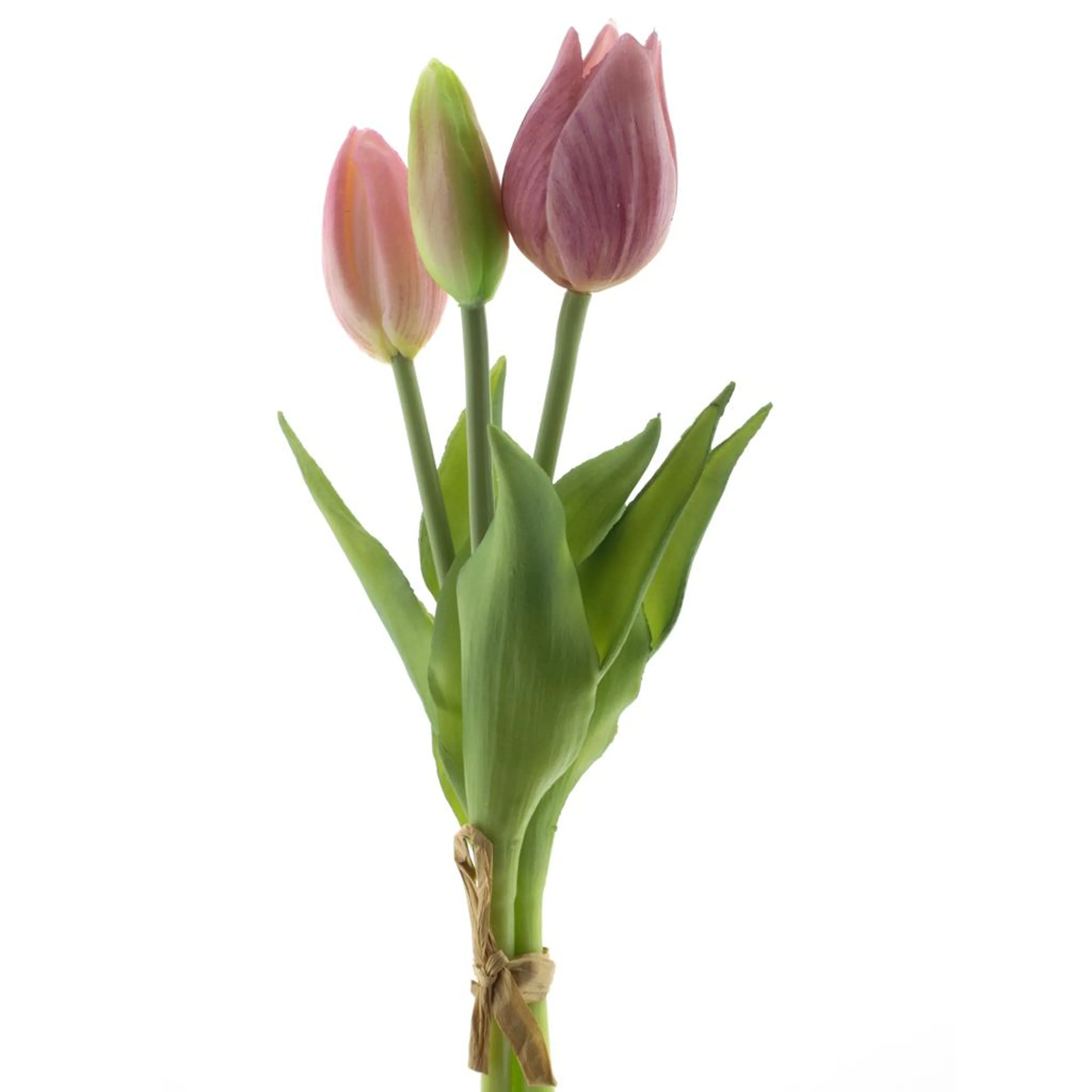 Bosje tulpen 3 – Pink
