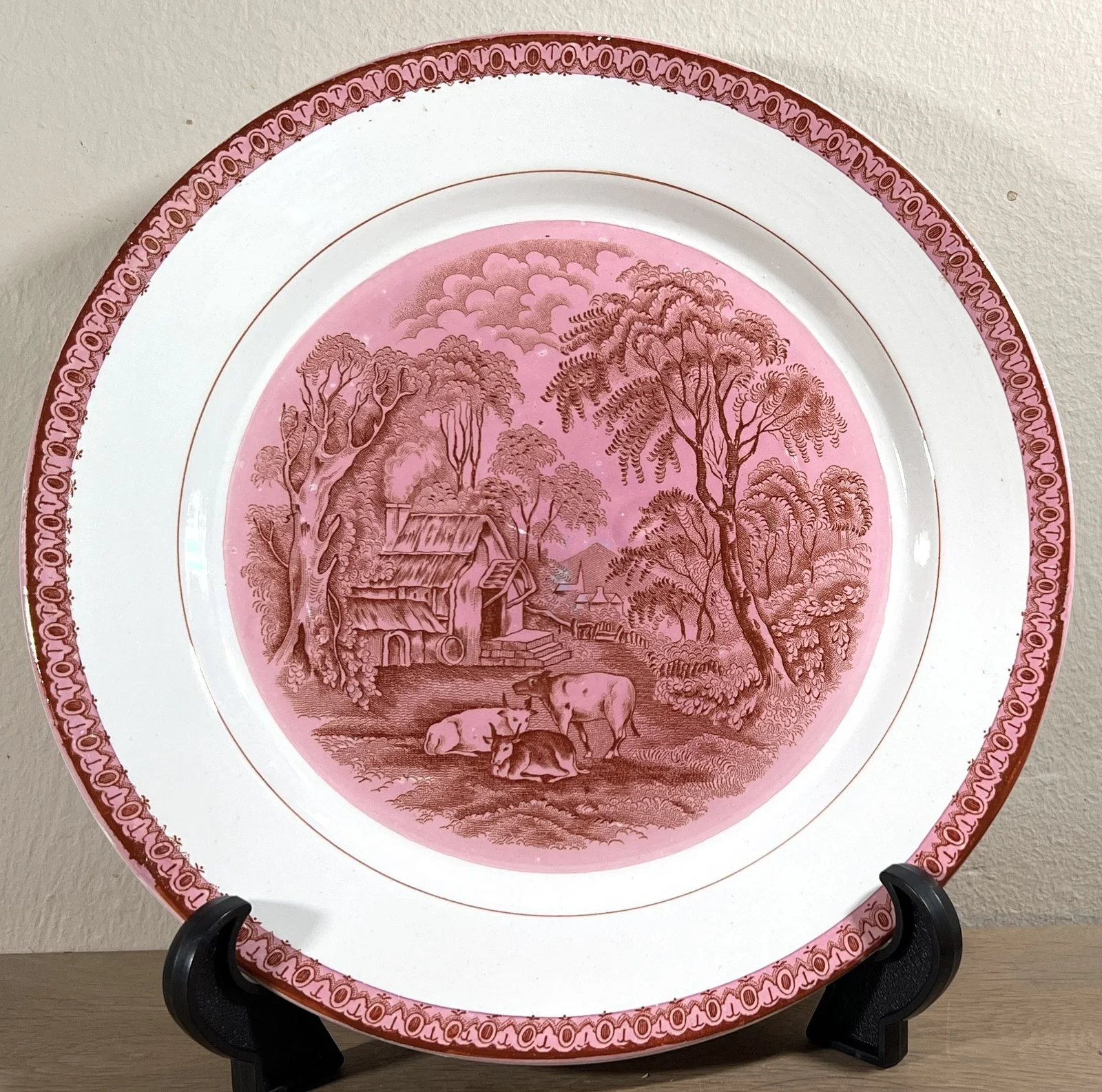 Bord / Dinerbord / Sierbord – Nimy – décor in roze/donkerroze