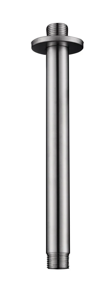 304 douchearm met plafondbevestiging rond 20 cm geborsteld RVS