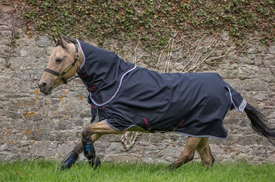 Amigo Bravo 12 Pony Plus Turnout, Atlantic Blue/Ivory