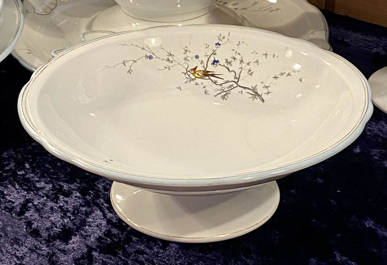 Schaal op lage voet / tazza – geschulpte rand – Petrus Regout – décor VOGELZANG