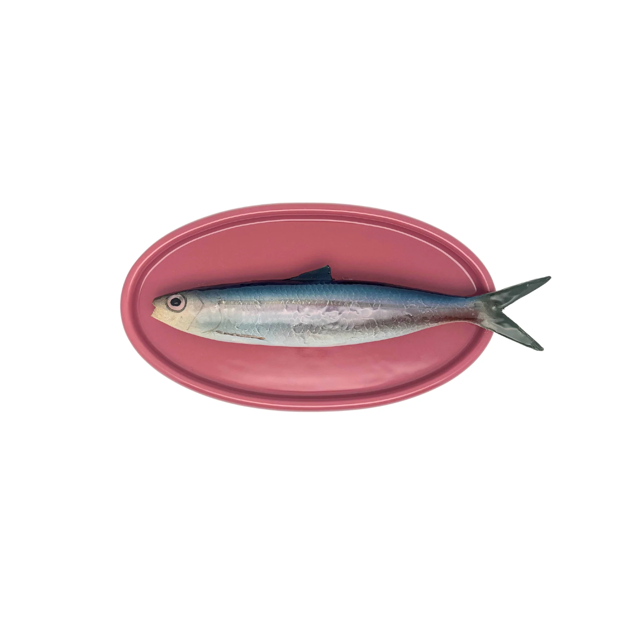 Alaccia/Haring op een ovaal roze bord, 22 x 11 cm