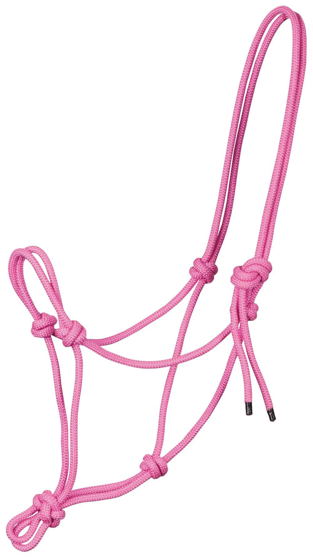 Harry’s Horse Touwhalster, Roze