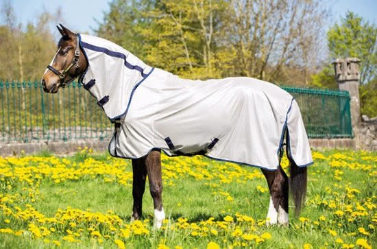 Amigo Mio Fly Rug , Bronze/navy
