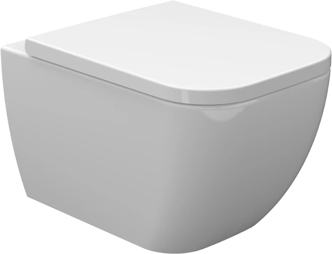 Sky wandcloset verkort met Sky toiletzitting softclose en quick release glans wit