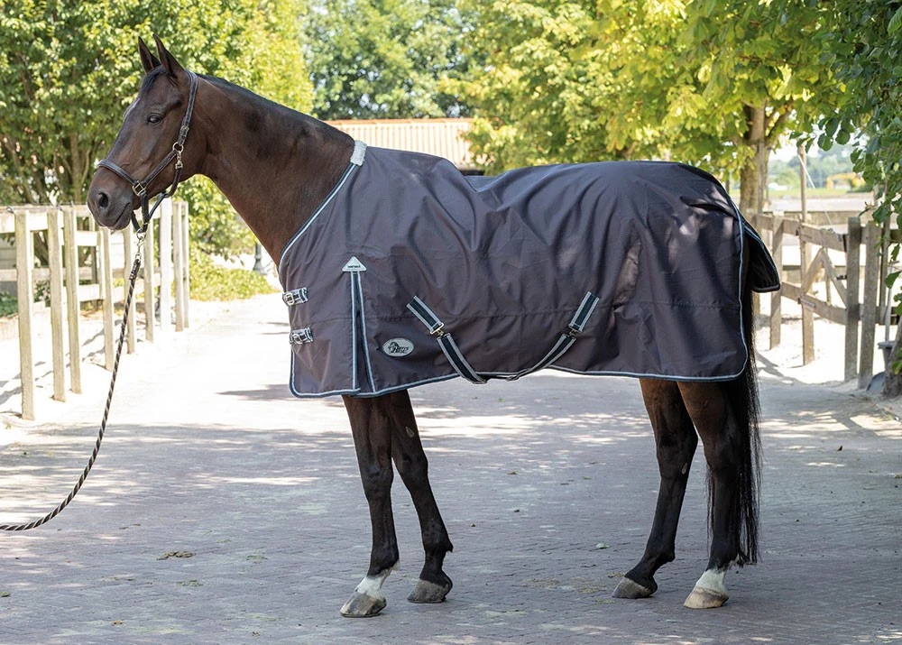 Harry’s Horse Regendeken Thor 0gr, Ebony