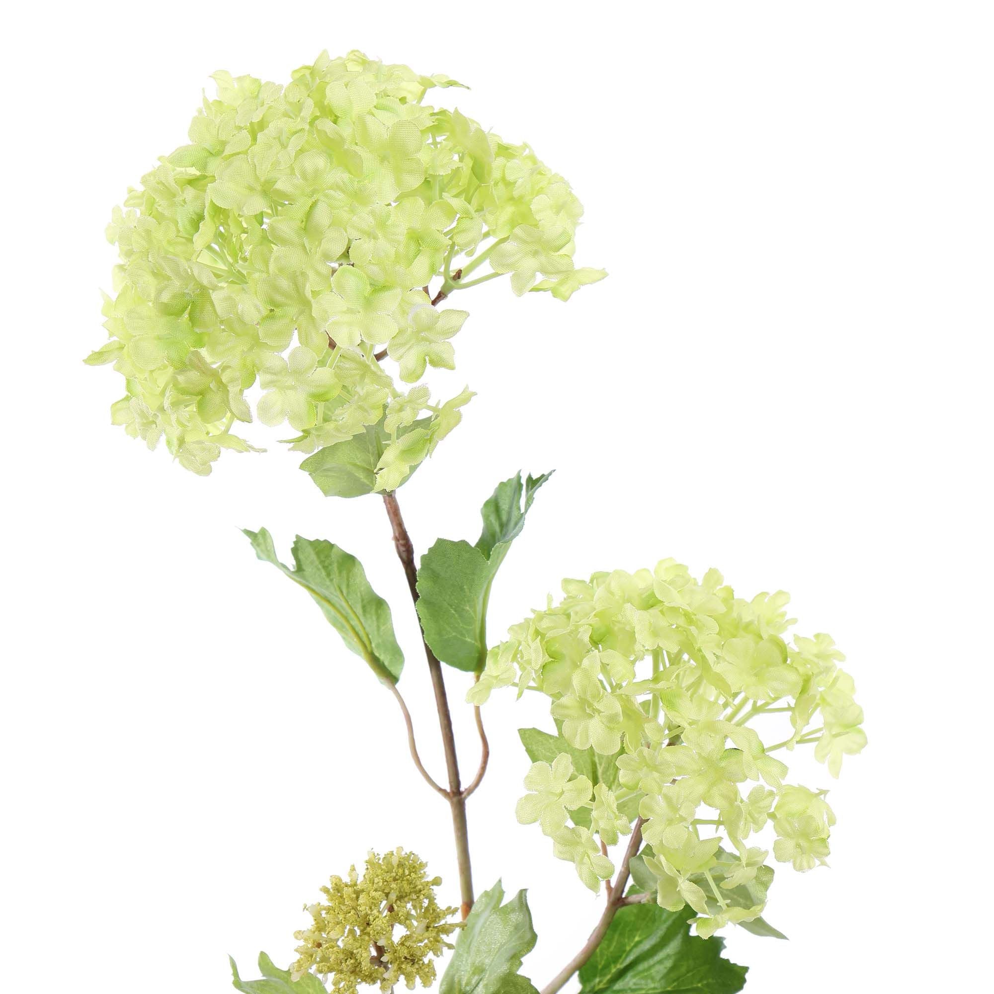 Zijdebloemen | Sneeuwbal Groen
