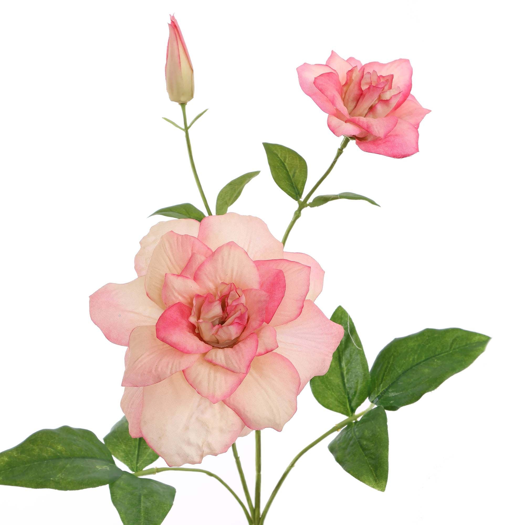 Zijdebloemen | Clematis Roze