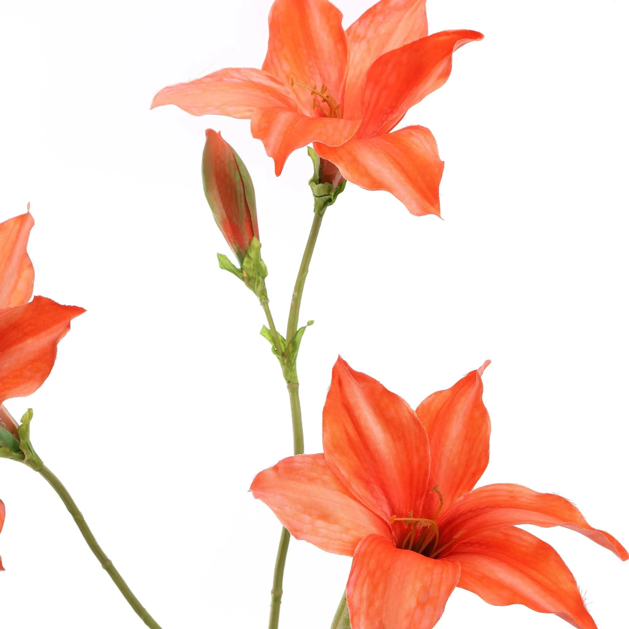 Zijdebloemen | Hippeastrum Zalm