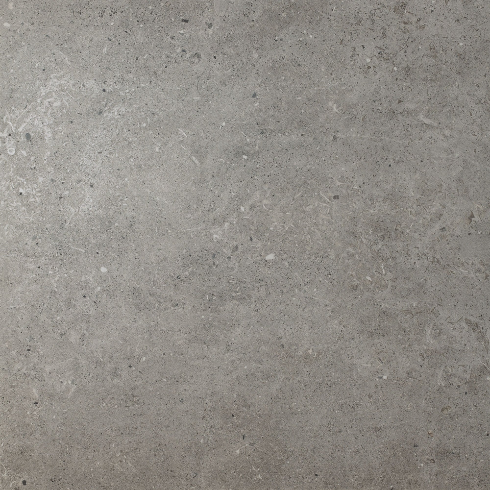 Vloertegel Beren Dark Grey 59,8×59,8 cm