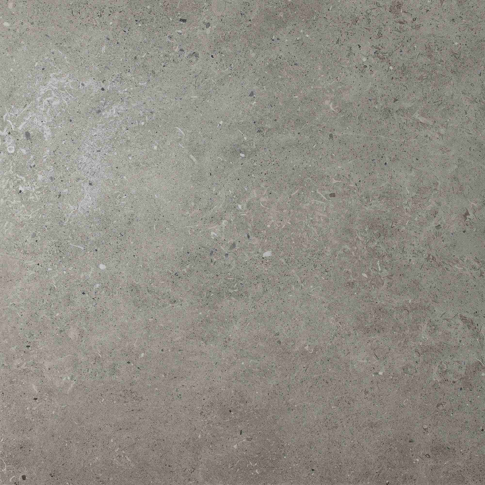 Vloertegel Beren Dark Grey A/S 29,8×59,8 cm