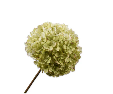 Silk ka hortensia groen Silk ka hortensia groen
