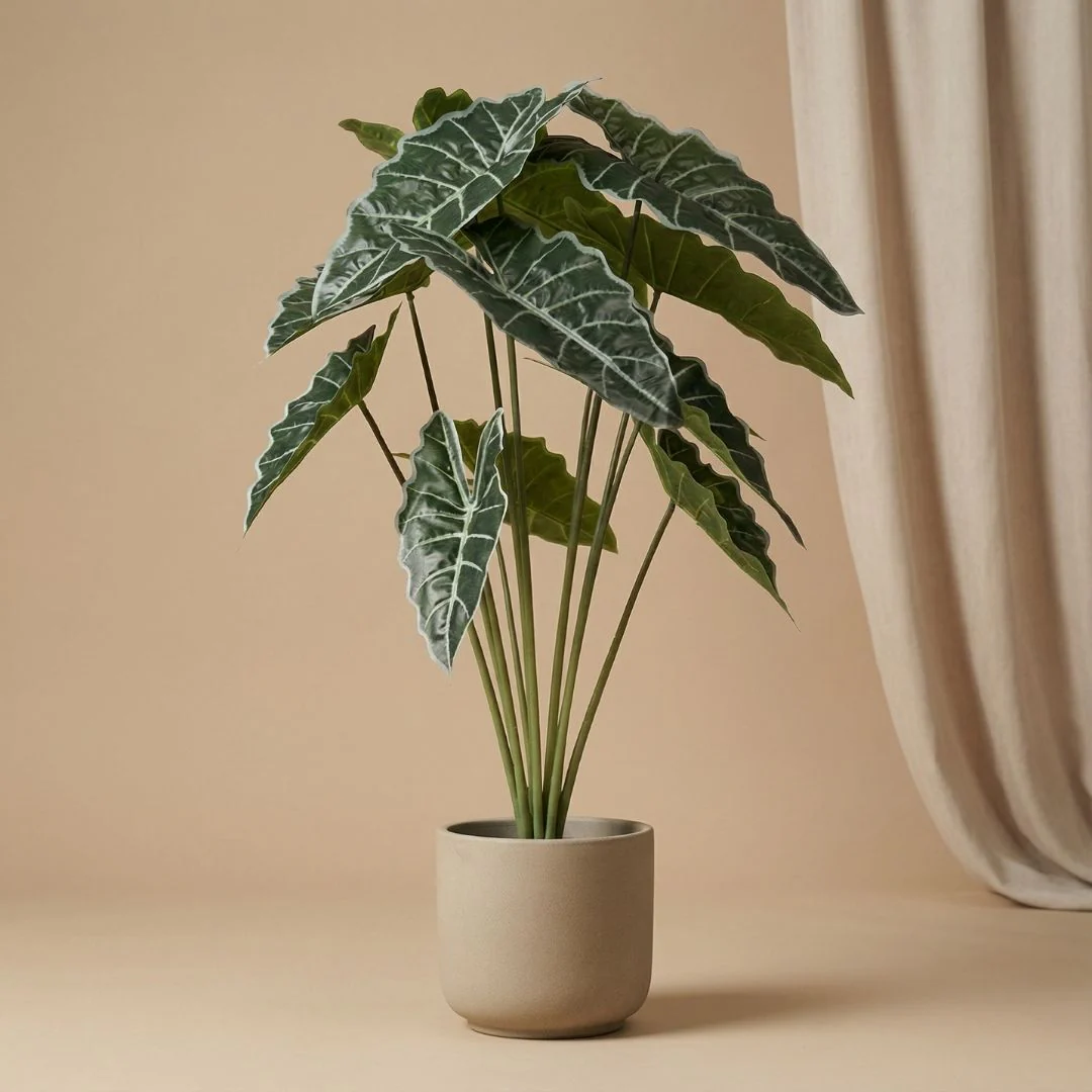Alocasia Kunstplant in zwarte pot – 80 cm