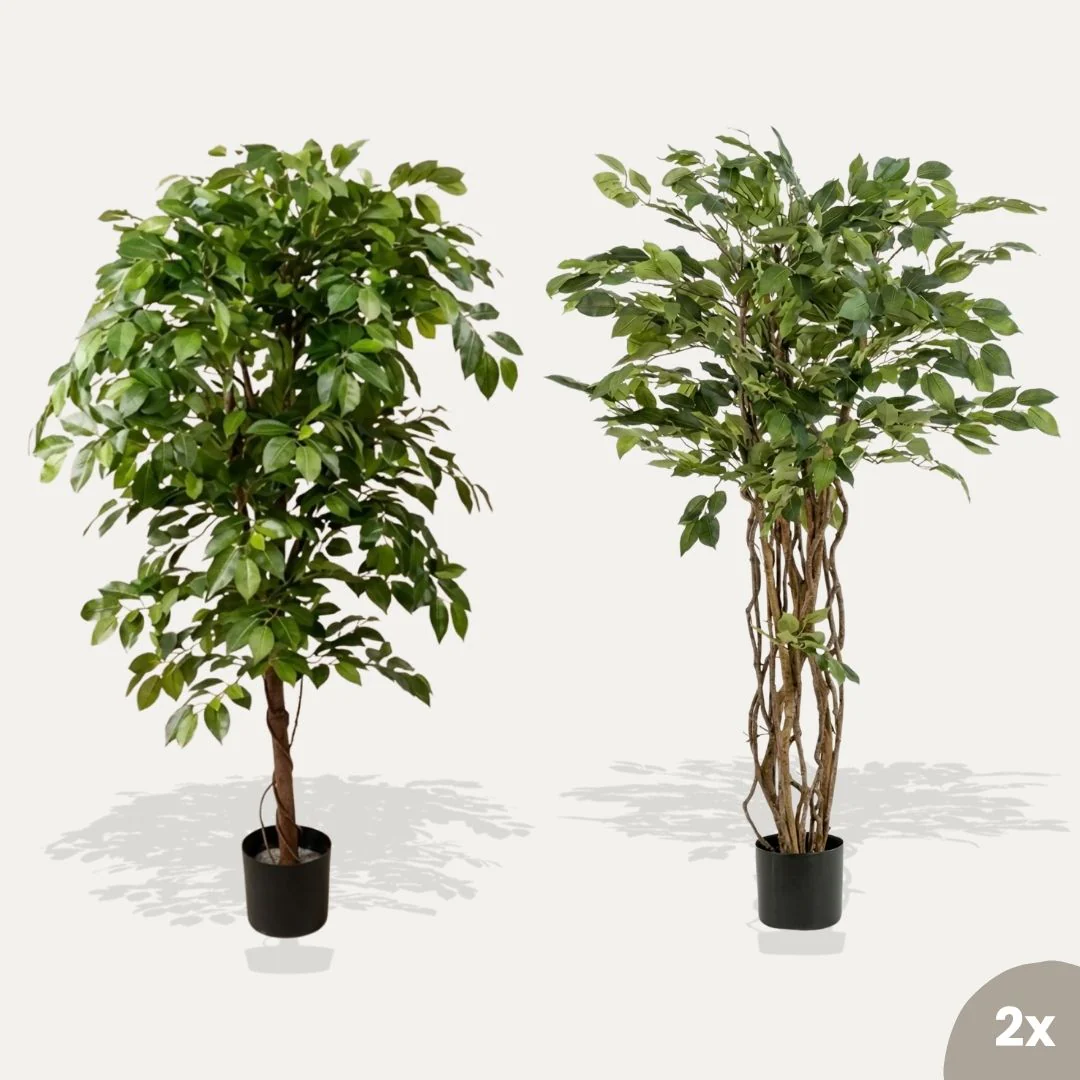 Ficus Deluxe set – 2 stuks – Bundelproduct – Kunstplanten