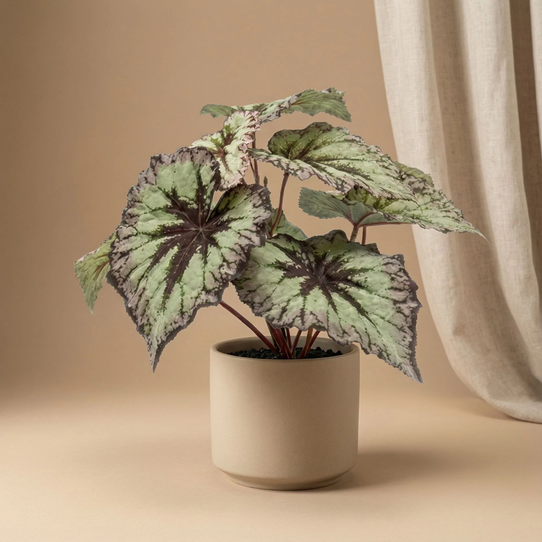 Begonia – Kunstplant in zwarte pot – Voor binnen & buiten – UV-bestendig – 26 cm