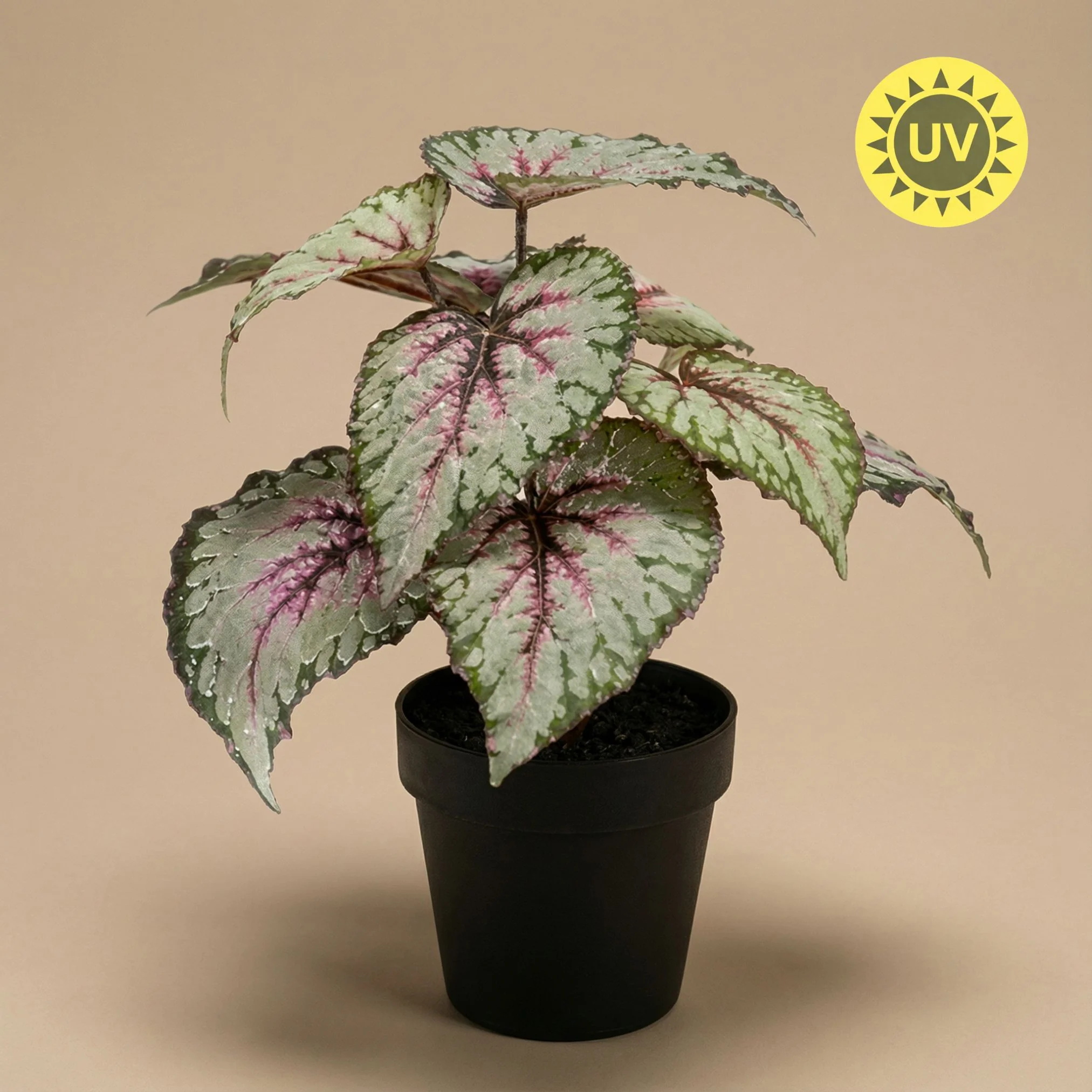 Begonia met grijs-paarse bladeren – Kunstplant in zwarte pot – Voor binnen & buiten – UV-bestendig – 26 cm