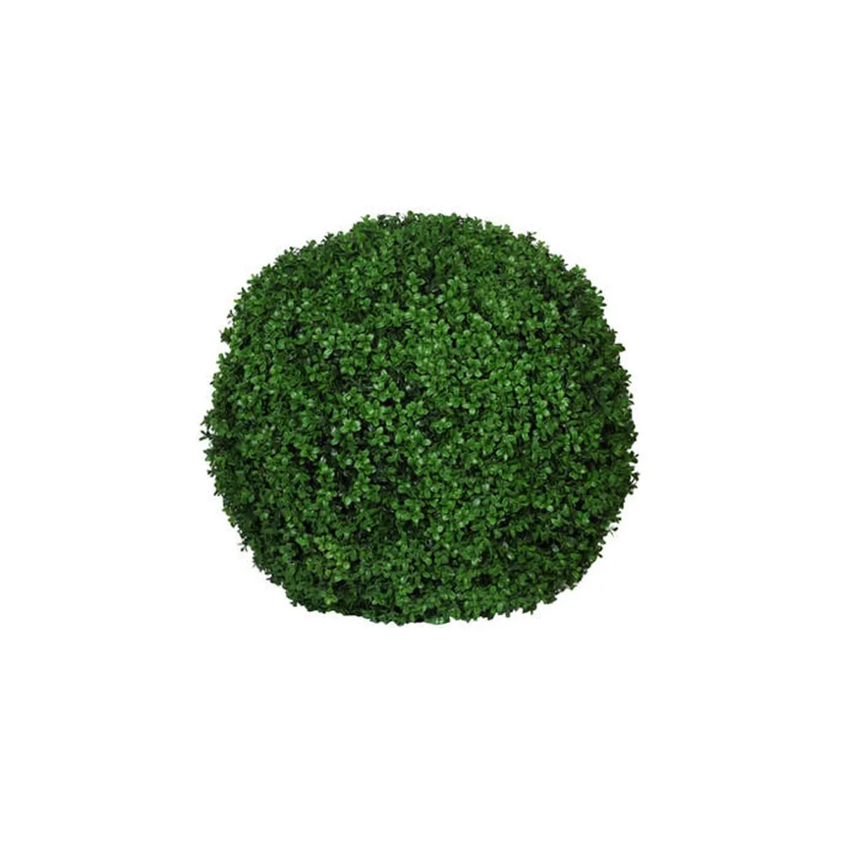 Boxwood XXS, Groen