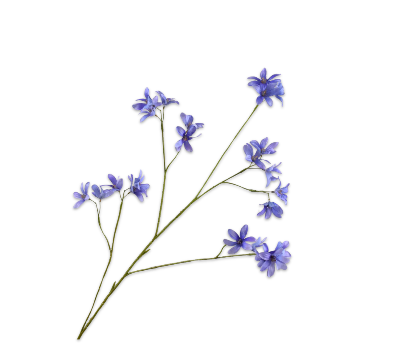 Silk ka hyacint tak blauw