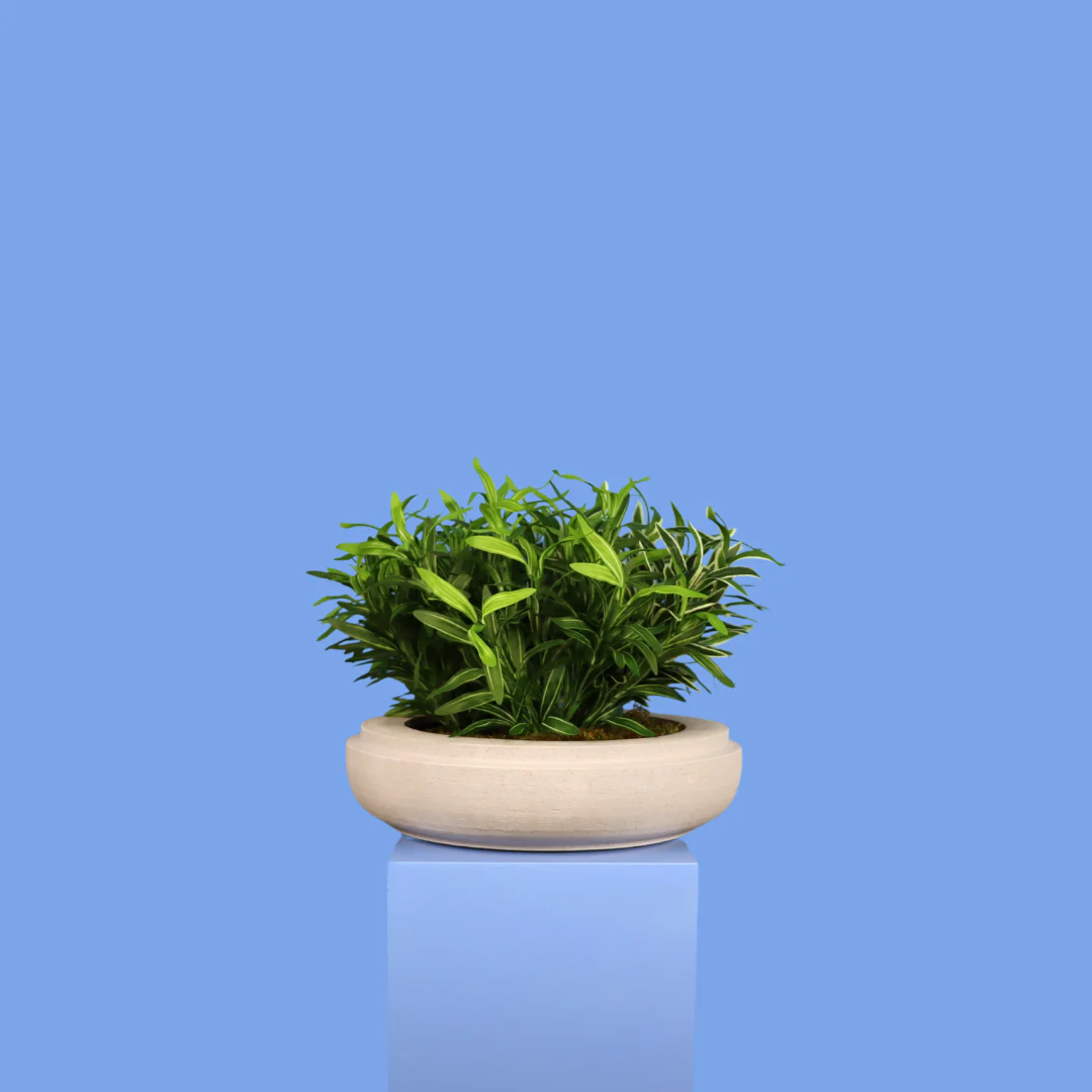 XL- Calgary – Witte plantenbak XL- Calgary – Witte plantenbak