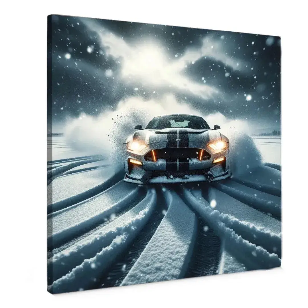 Canvas Schilderij Snow Storm Racer Canvas Schilderij Snow Storm Racer