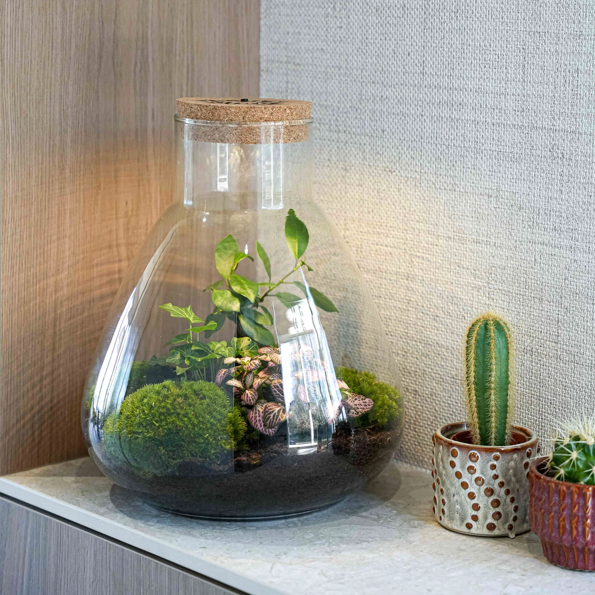 ‘LOVE MOM’ terrarium Sam + gegraveerde kurk met licht – Fles terrarium DIY kit – Ø 24.5 cm ↑ 30 cm – Moederdag