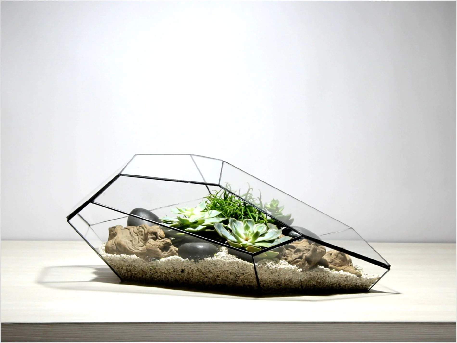 Geometrisch Terrarium – Plantasia – Waterdicht – Glas – ↑ 50 x ↔ 25 cm