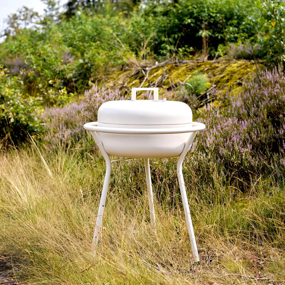ZEE – Koro barbecue Wit