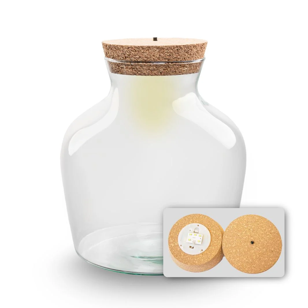 Terrarium fles ‘Little Joe’ – Incl. LED-kurk – Gesloten terrarium Ø 20 cm ↑ 22 cm