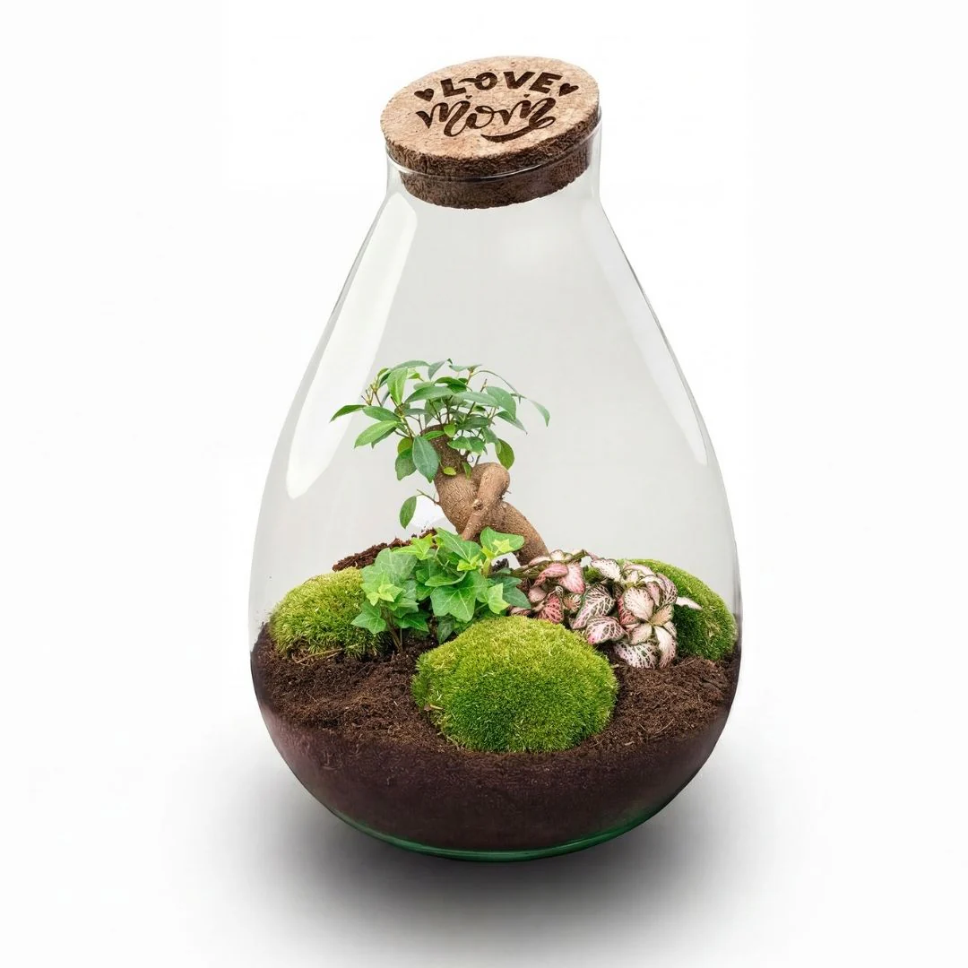 ‘LOVE MOM’ terrarium Drop XL + gegraveerde kurk – Flessentuin – DIY kit – Ø 24 cm ↑ 37 cm – Moederdag