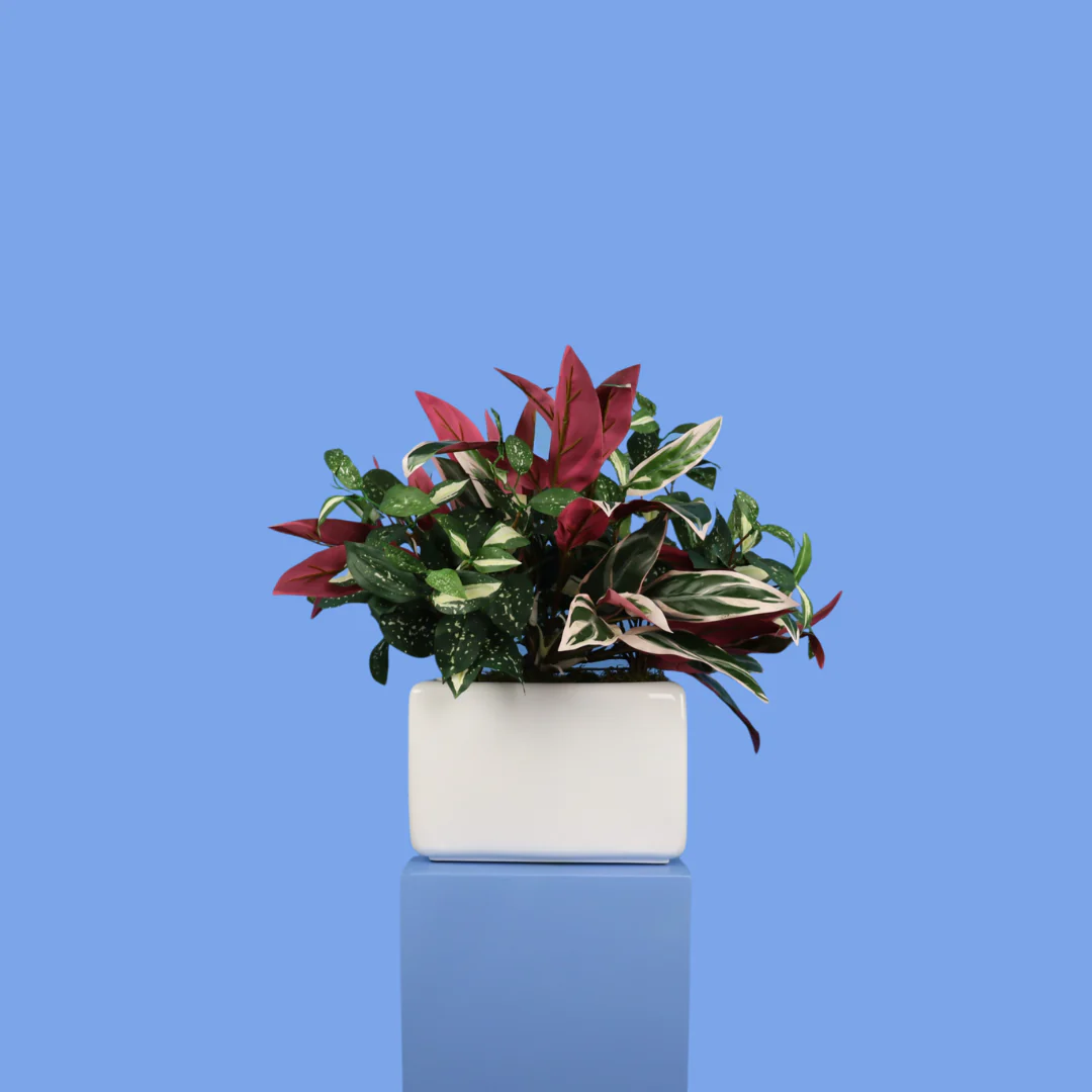 L- Phoenix – Witte plantenbak L- Phoenix – Witte plantenbak