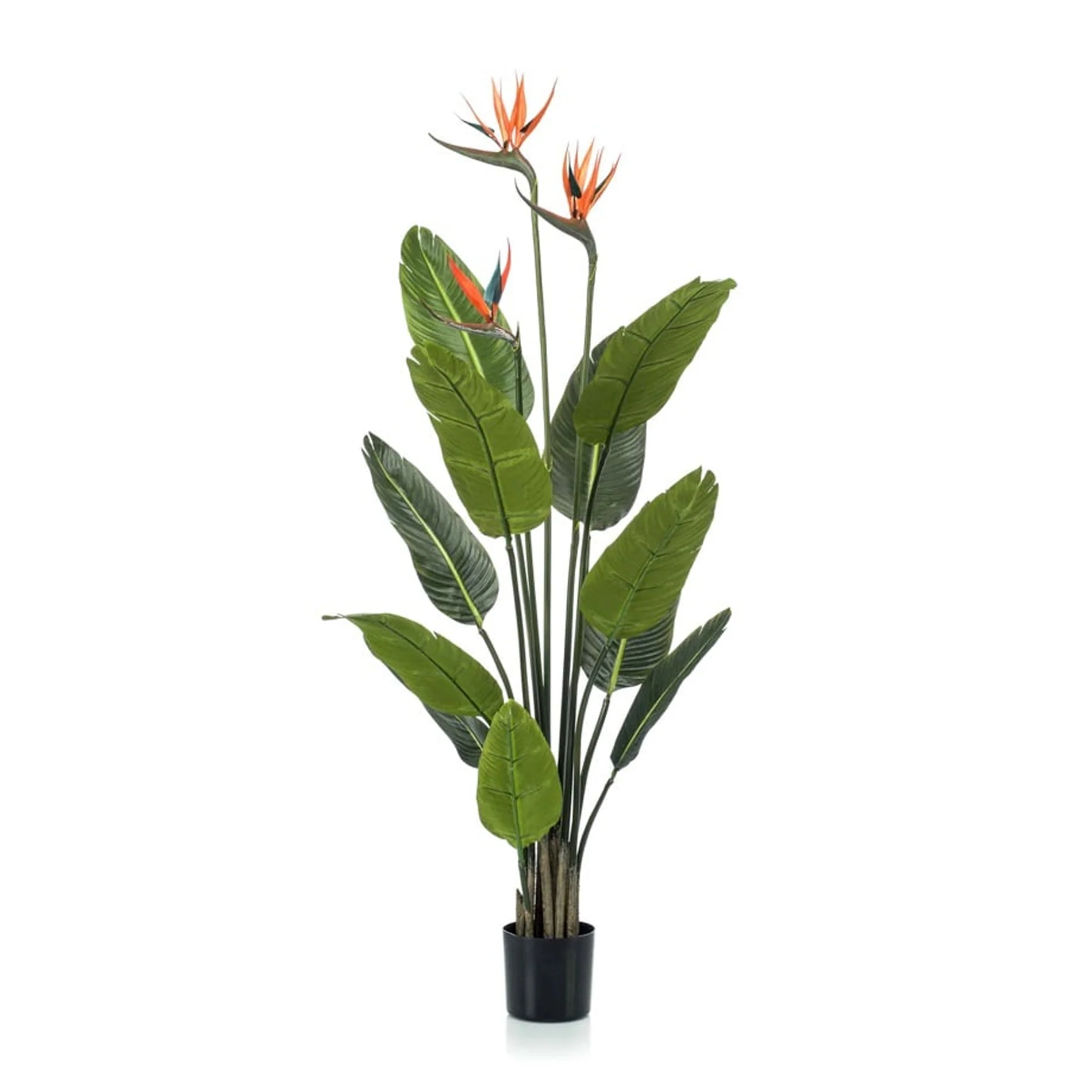 Strelitzia met bloemen – 120cm – In zwarte pot – Kunstplant Strelitzia met bloemen – 120cm – In zwarte pot – Kunstplant