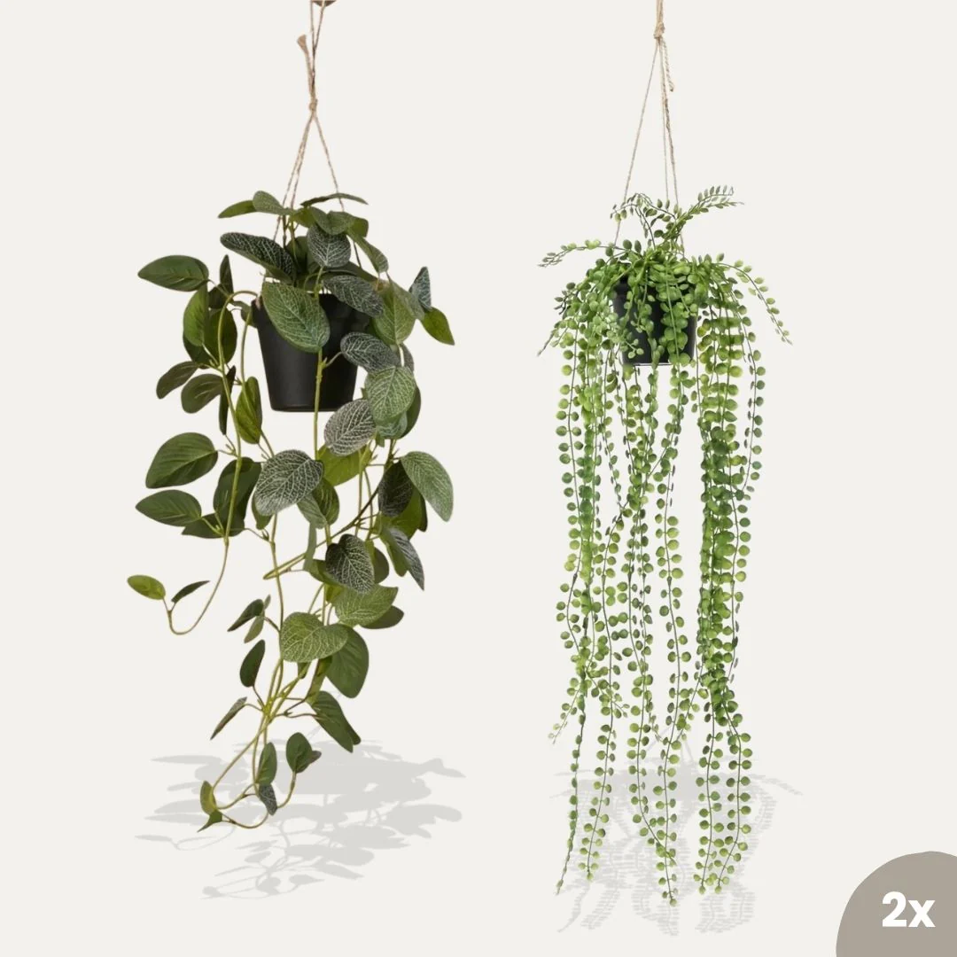 Hangplanten in pot met touw – 2 stuks – Kunstplanten – Bundle set Hangplanten in pot met touw – 2 stuks – Kunstplanten – Bundle set