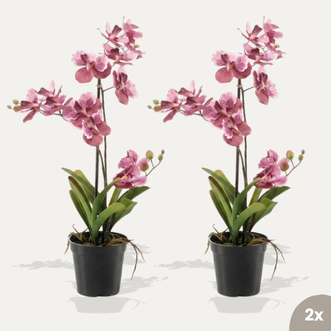 Orchidee Vanda roze 2 stuks – Bundelproduct – Kunstplanten