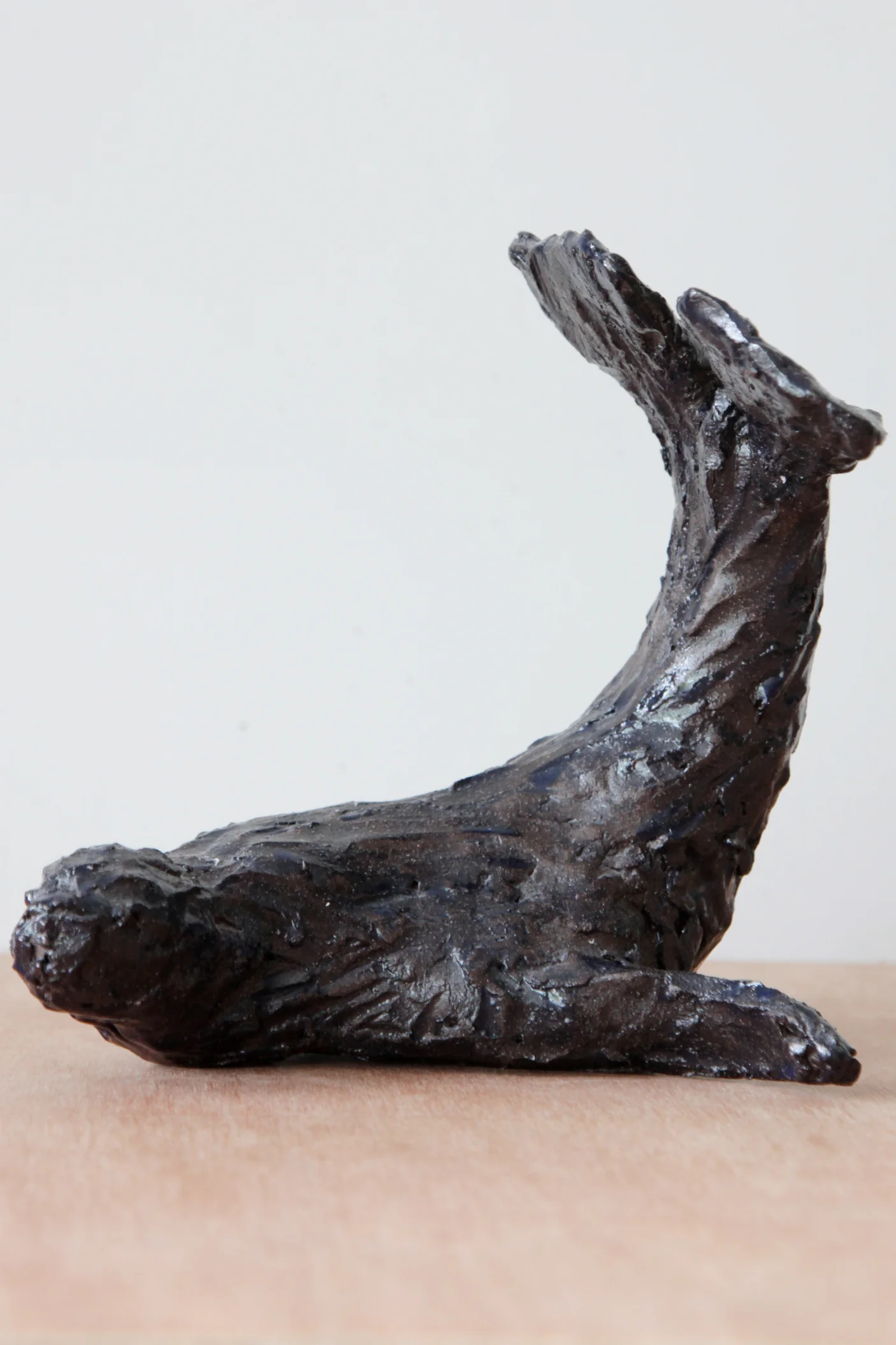 zeehond
