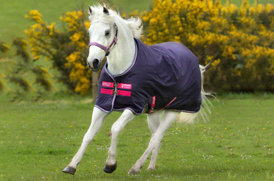 Amigo Hero 900 Pony Turnout Medium 200g, Dark Blue