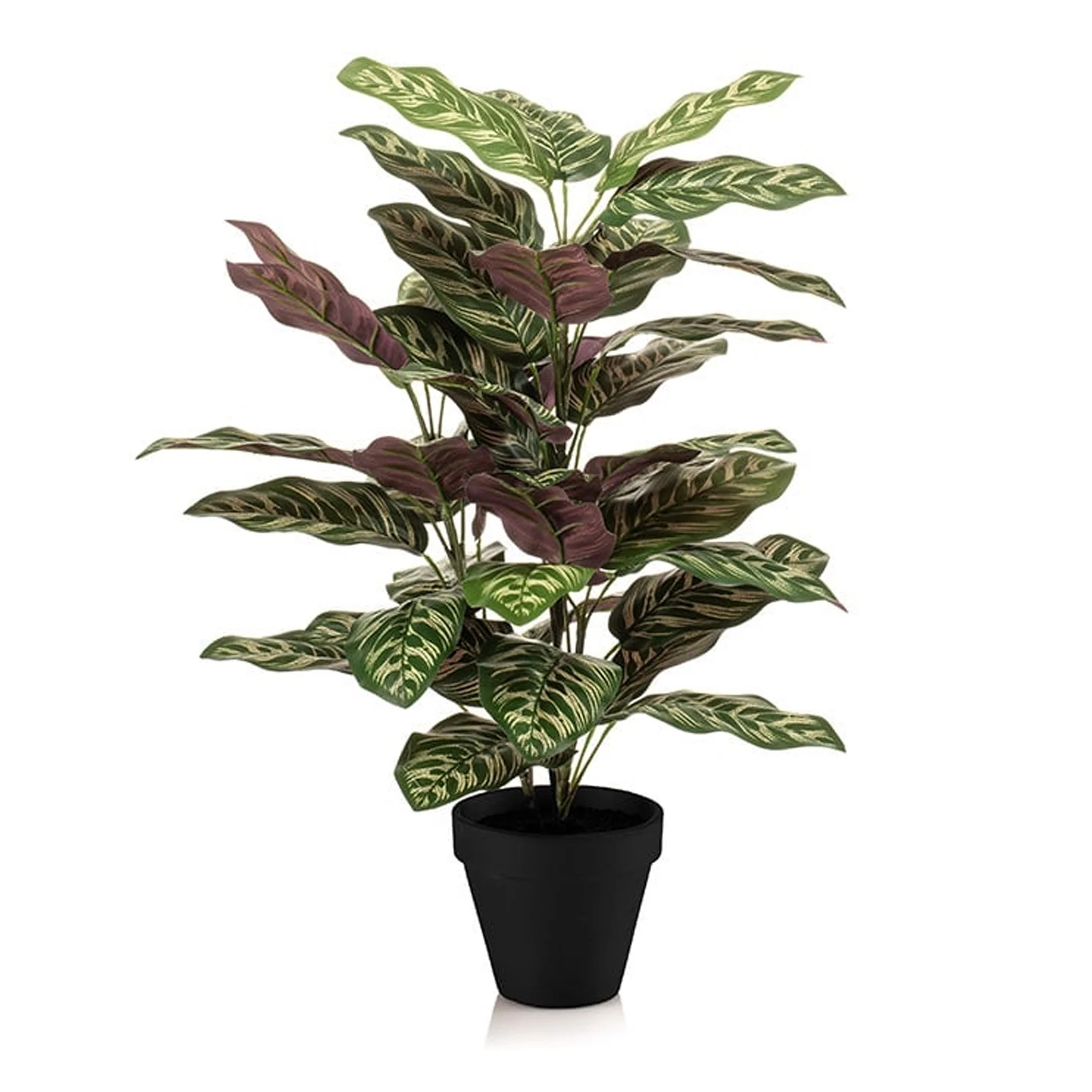 Calathea in pot – 65 cm hoog – Kunstplant