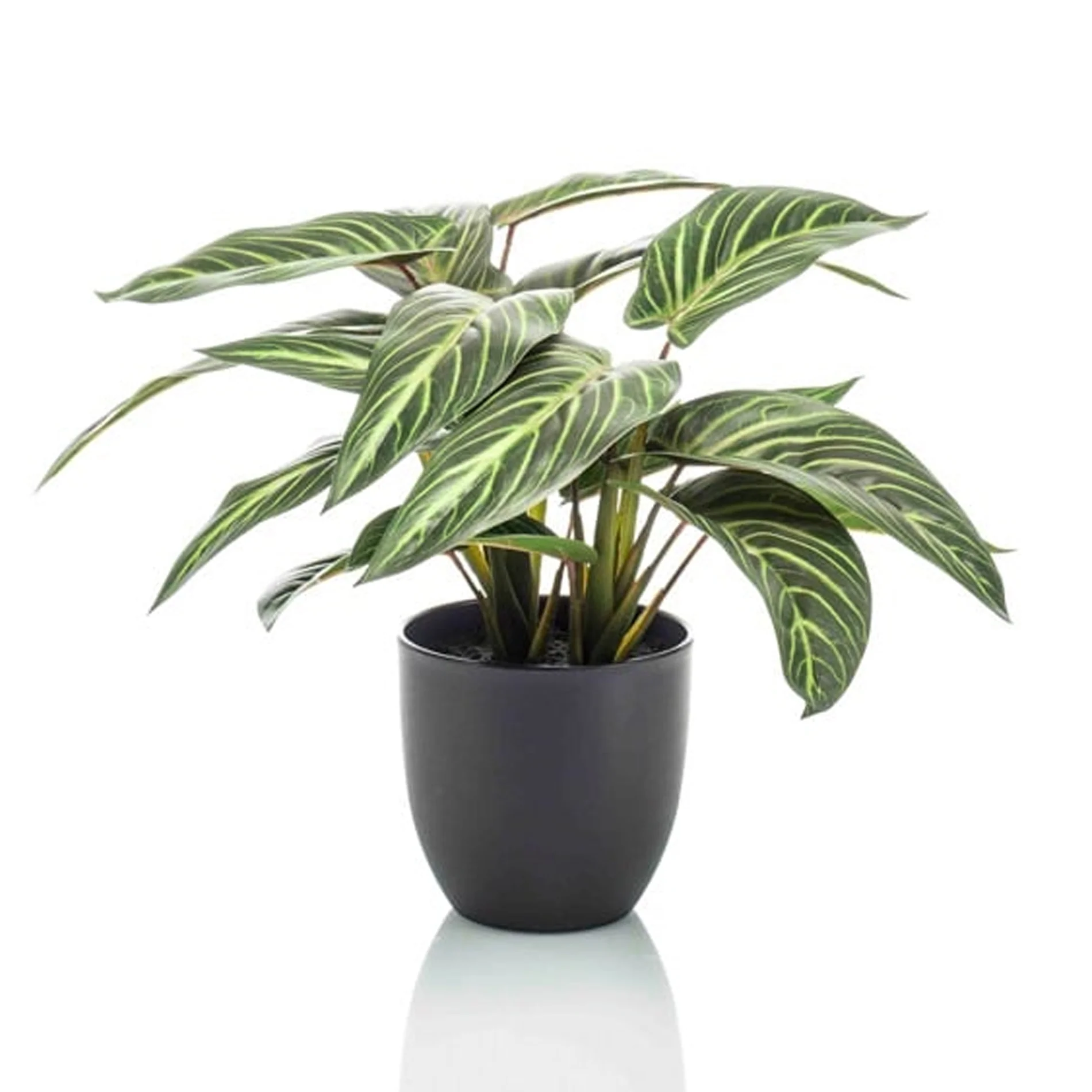 Calathea Zebrina in zwarte pot – 42 cm hoog – Kunstplant