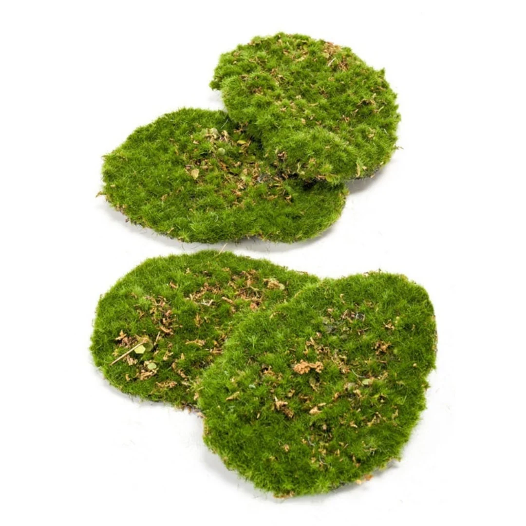 Mosplaat – Groen mos – Set van 4 – Kunstmos