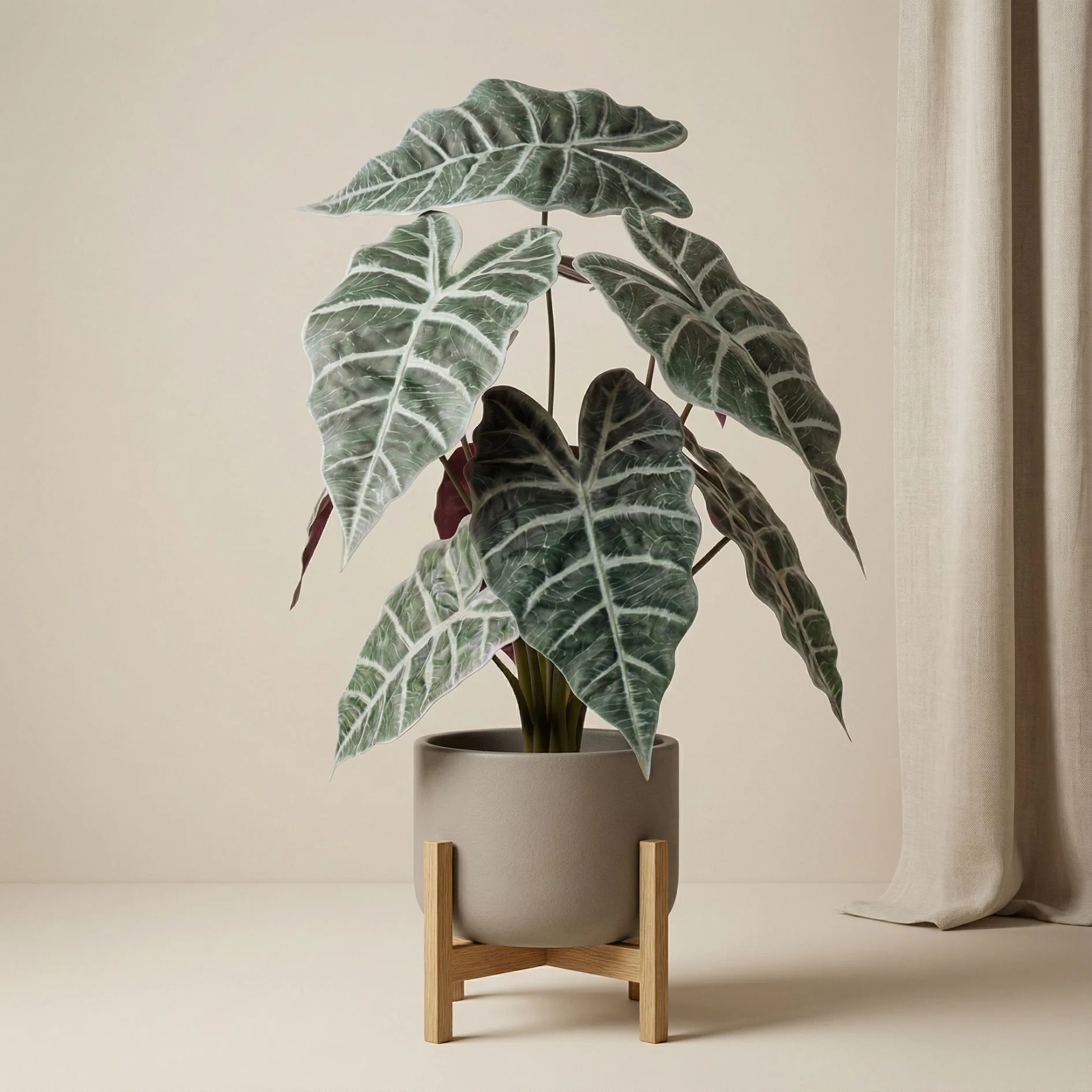 Alocasia bush in pot 40 cm – Kunstplant