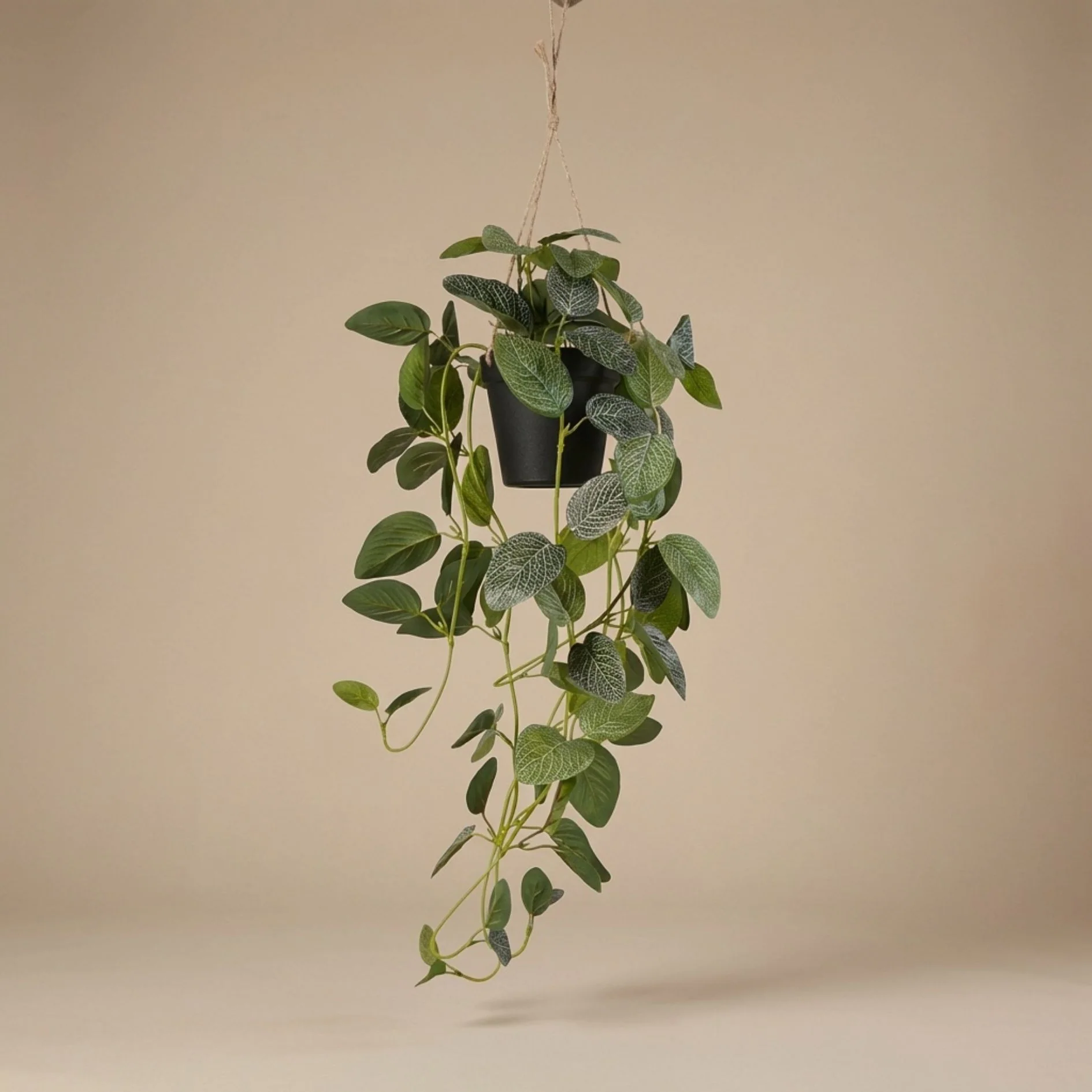 Fittonia – hangplant in pot – 70 cm – Kunstplant