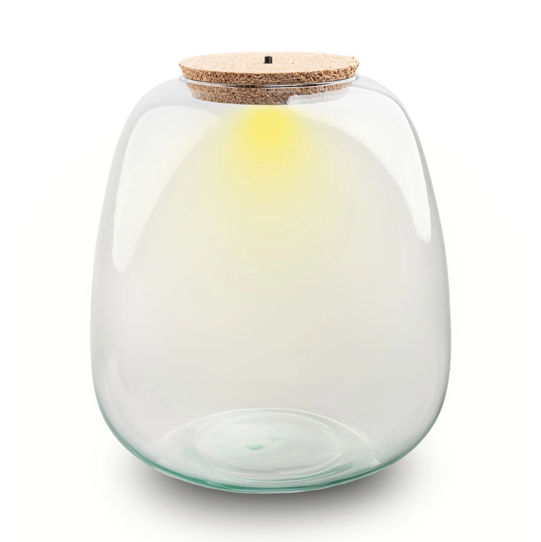 Terrarium fles ‘Emma’ – Incl. LED-kurk – Gesloten terrarium Ø 23 cm ↑ 25 cm
