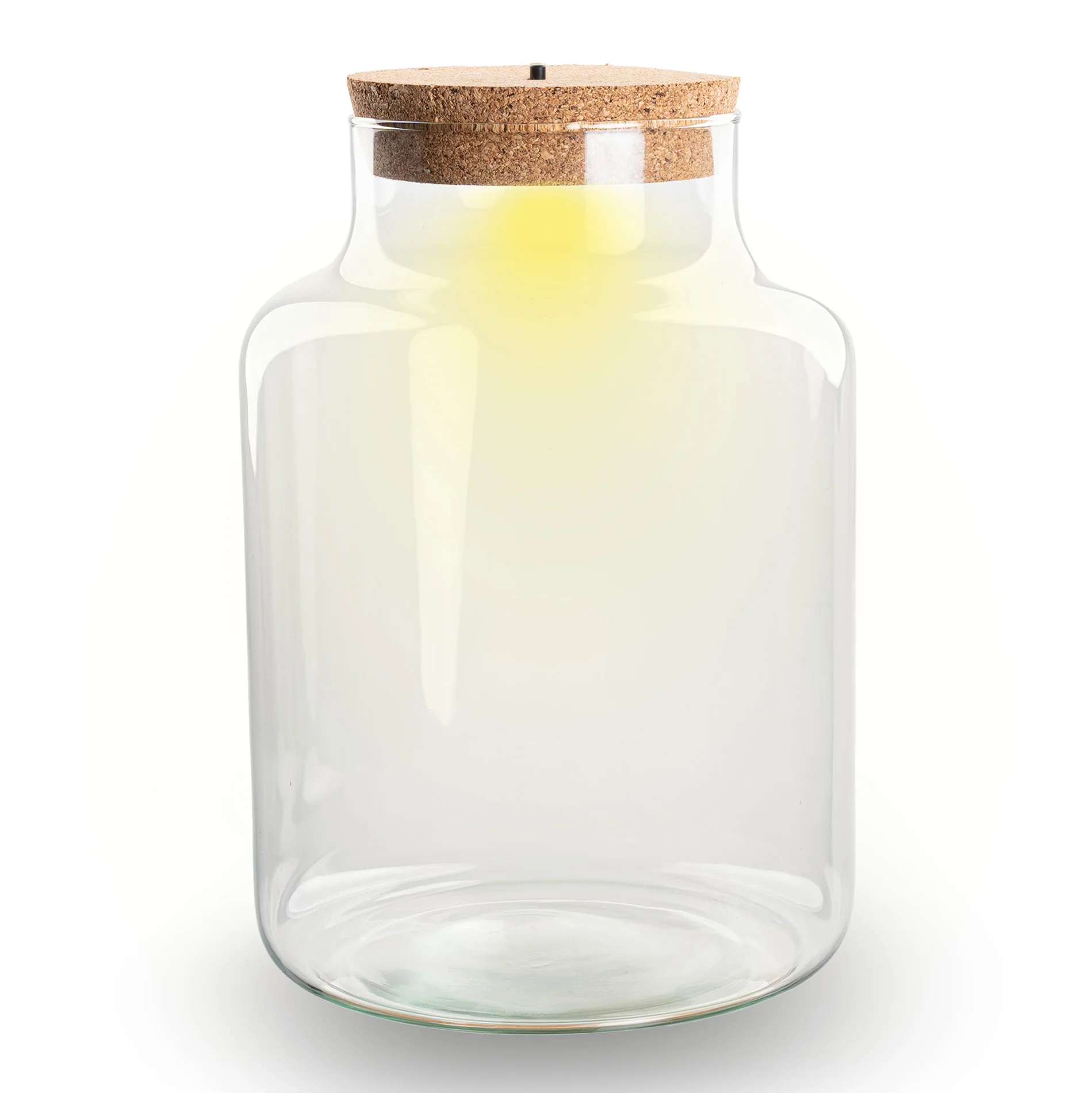 Terrarium fles ‘Little Milky’ – Incl. LED-kurk – Gesloten terrarium Ø 17 cm ↑ 25 cm